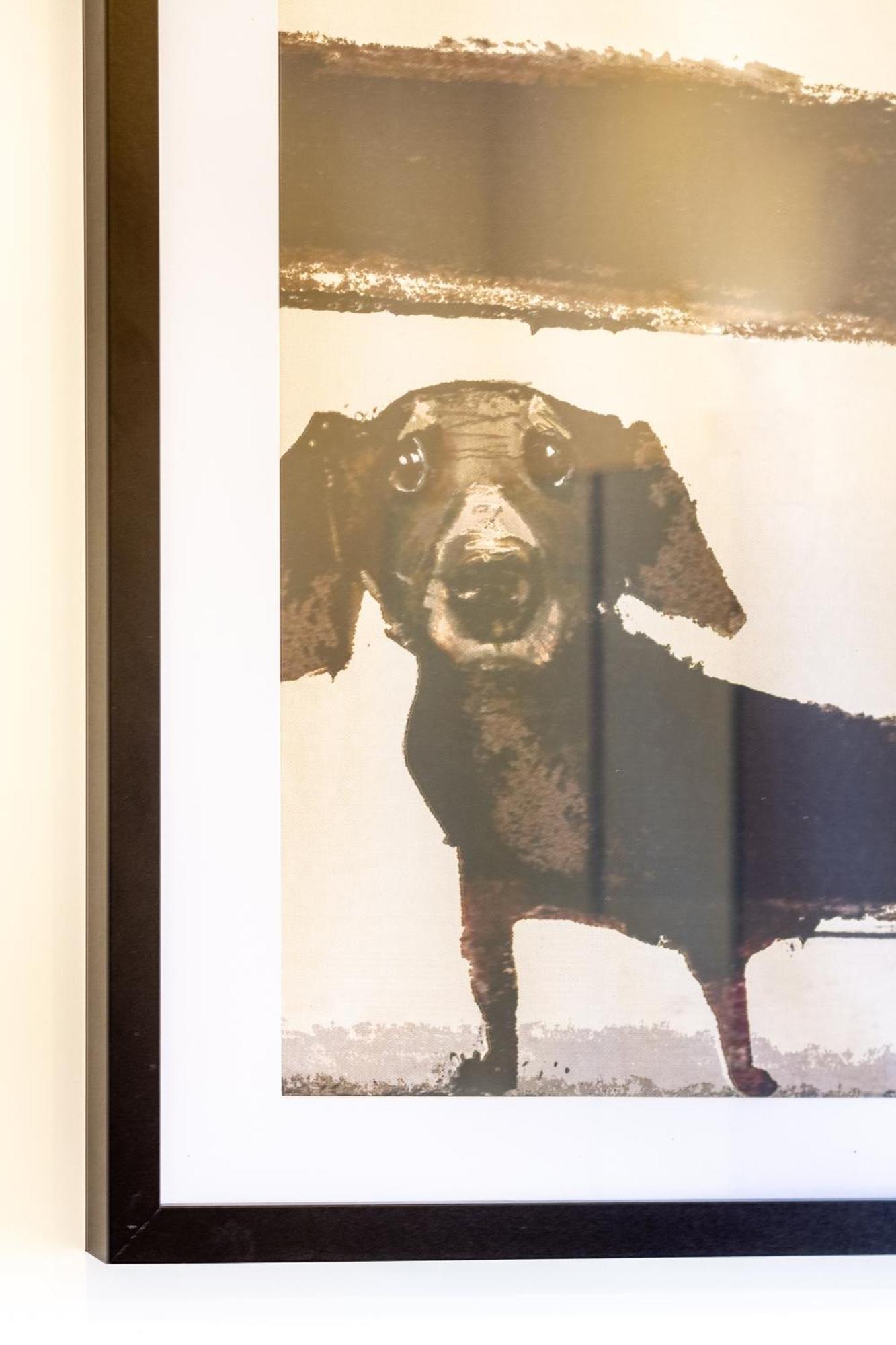 Central City Charm: Pet-Friendly Studio Christchurch Exteriör bild
